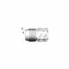 Royal Brass Adapter 2405 8 8c 8MJ8FPBP - Couplings & Fittings -Farm And Ranch store 000850548 1