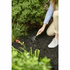 Scotts Evergreen, Flowering Tree & Shrub Continuous Release Plant Food, 3 lbs. - 1009101 - Fertilizers -Farm And Ranch store 2284e9d04fece3c30207c12958ae14d70349e679 69840243 5