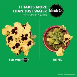 Miracle-Gro Liquafeed All-Purpose Plant Food 16 oz. Refills, 4-Pack - 1004325 - Fertilizers -Farm And Ranch store 333d8dd0e93a8569e2b008d786874e1e4acd97b2 80360142 6