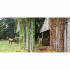 Various Brands RM43 Glyphosate Total Vegetation Control, 1 Gallon Jug - 76500N - Herbicides -Farm And Ranch store 3de67557354a44aad82890c13d28705ffefb77dc 31104002 7