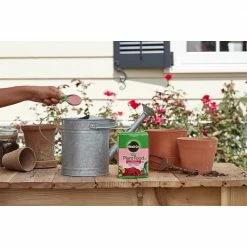 Miracle-Gro Water Soluble Rose Plant Food, 1.5 lbs. - 2000221 - Fertilizers -Farm And Ranch store 838cb63ddcd7be25378fadc2e07f5f76244eda1c 80360045 7