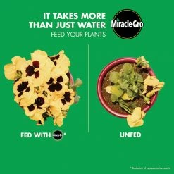 Miracle-Gro Liquafeed Bloom Booster Flower Food Refills, 2-Pack - 1004043 - Fertilizers -Farm And Ranch store e576f2807311bcd53f8836ab6942eb0570ac20ed 80360155 5