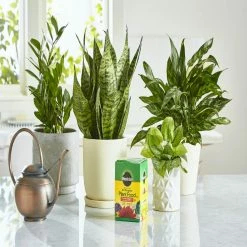 Miracle-Gro Water Soluble All-Purpose Plant Food, 1.5 lbs. - 2001123 - Fertilizers -Farm And Ranch store ecb1f1b3bec4bfeea386a0e96aecbfc9a0e5a604 80360016 4